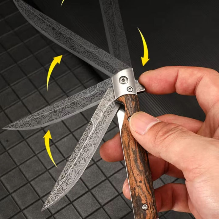 Spring Assisted Folding Knife