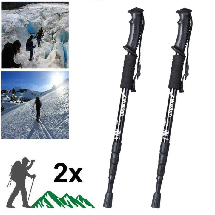 Pack of 2 Trekking Poles
